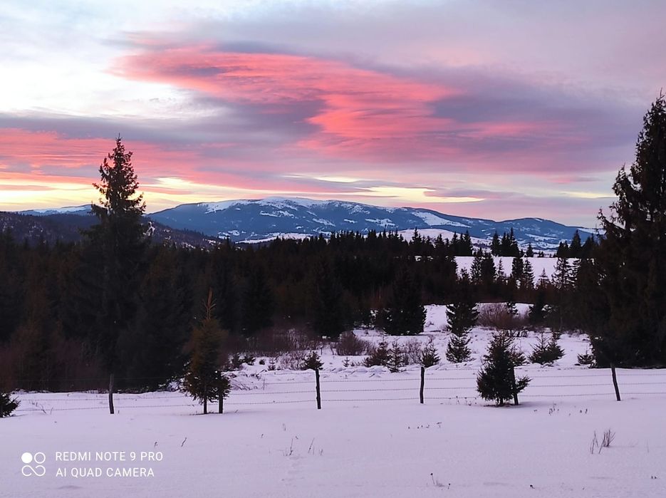 Cabana Belis de vânzare!!!
