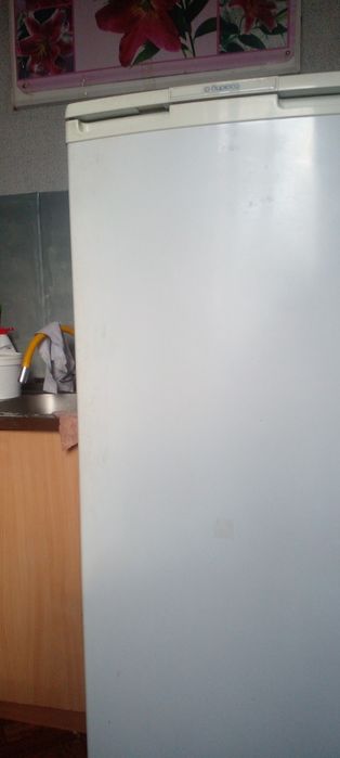 Отдам даром бесплатно