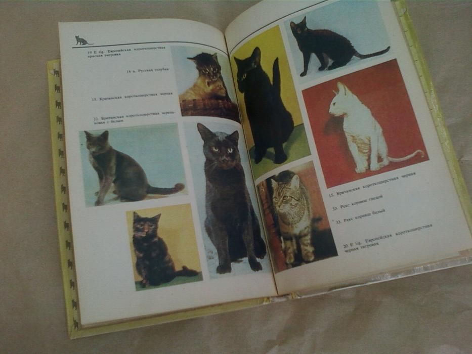 Домашние Кошки Книга . Издание Москва 1991 года .