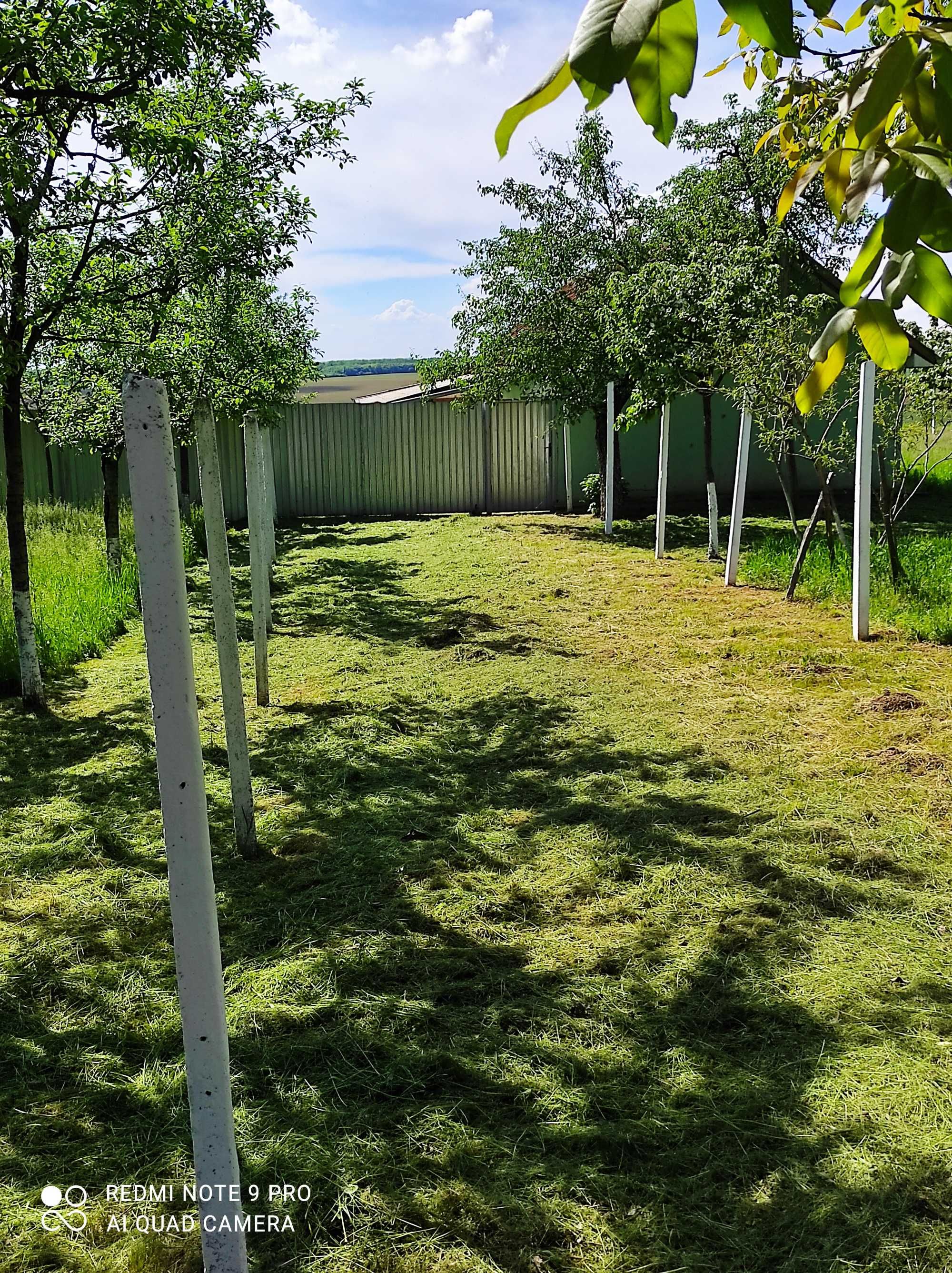 Fermă agricolă Jud Bihor 40282 mp