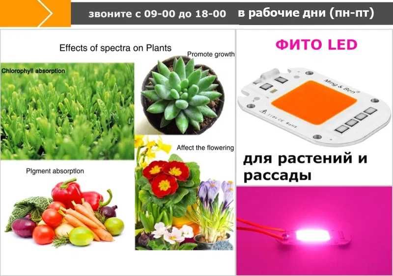умные с защитой свето-диоды для ФИТО-ЛАМП освещение в теплицы и дома