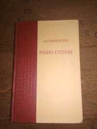 А. П. Чаплыгин  Разин Степан