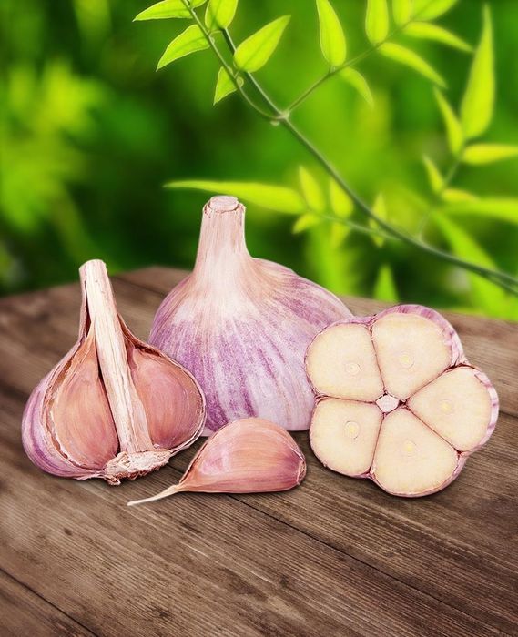 Чеснок отборный оптом !