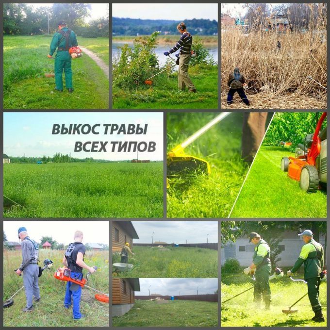 Покос травы, спил деревьев, стрижка-формирования!!!