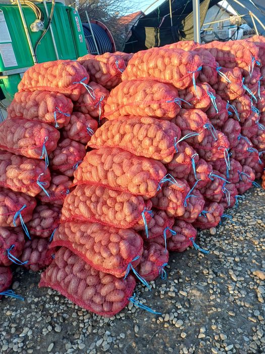 Cartofi consum alb si rosu