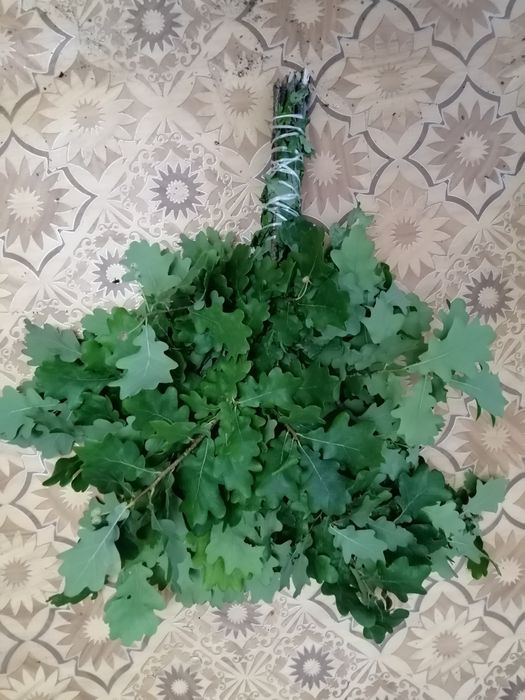 Дубовые веники..
