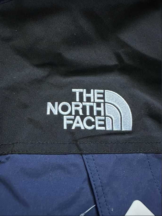 The North Face Gore-Tex Winter Jacket