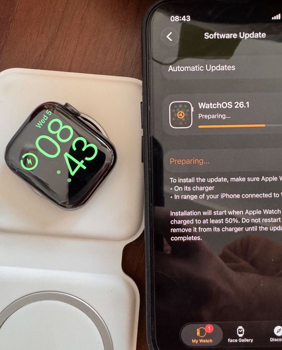 Apple Watch 8 41mm Stainless Steel Graphite Cellular + Milanese Loop