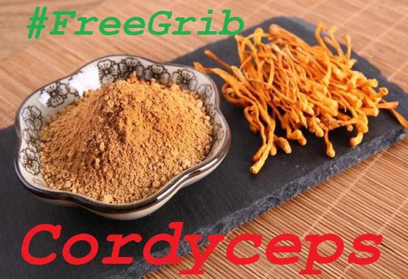 Кордицепс FreeGrib 100% Собственное производство Сертификация