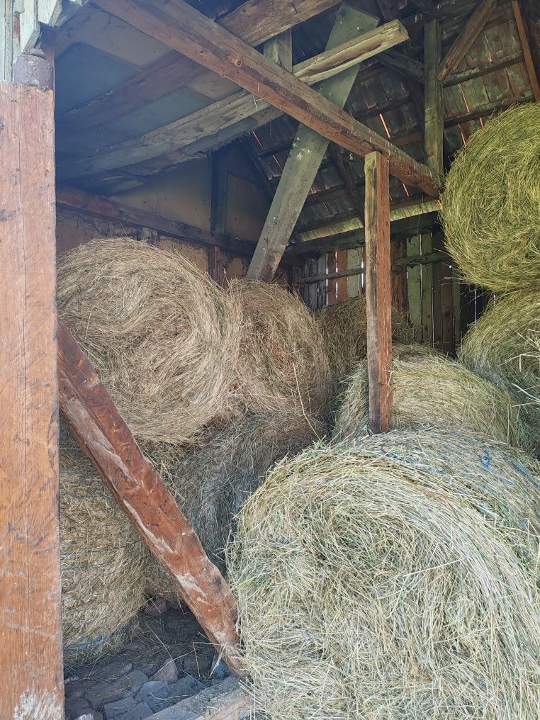 Vând baloți rotunzi și patrati