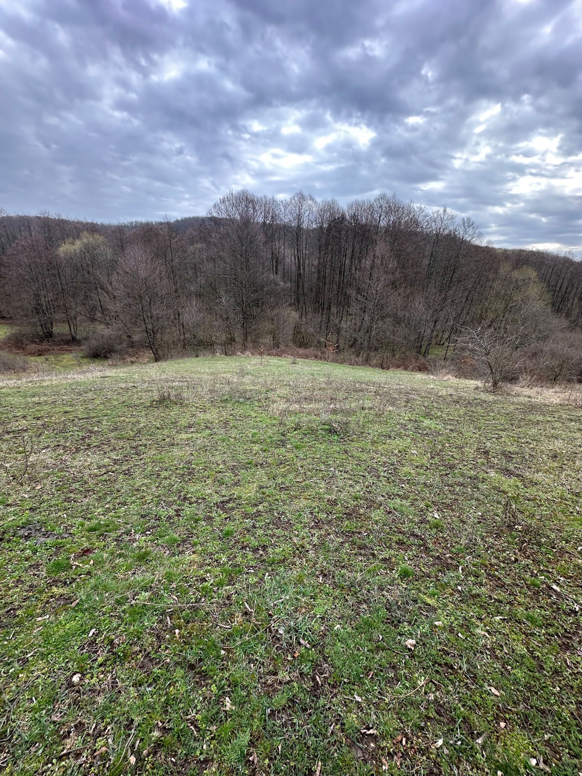 Vând teren extravilan în localitatea Dragesti, Bihor. 2000mp