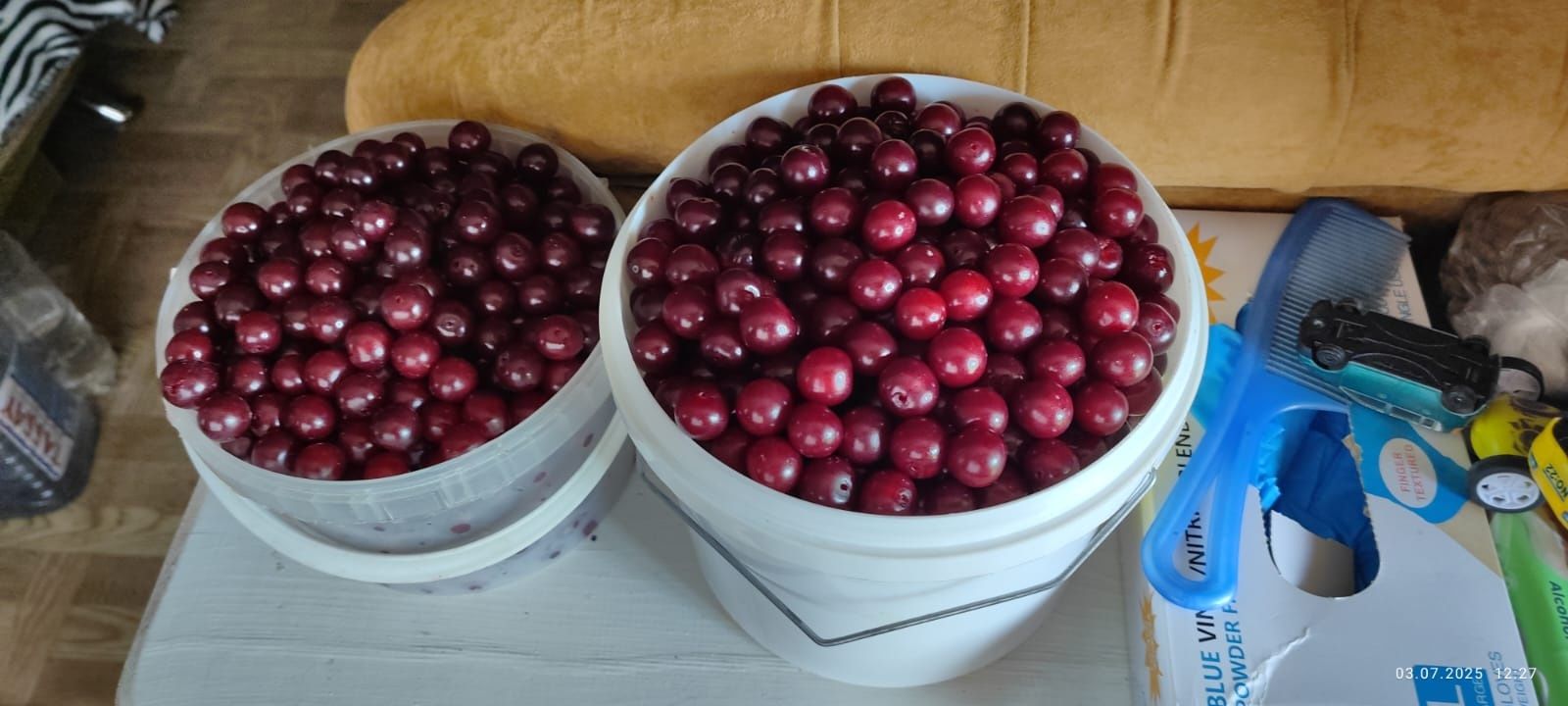 Продам вишню дачную, крупную, спелую