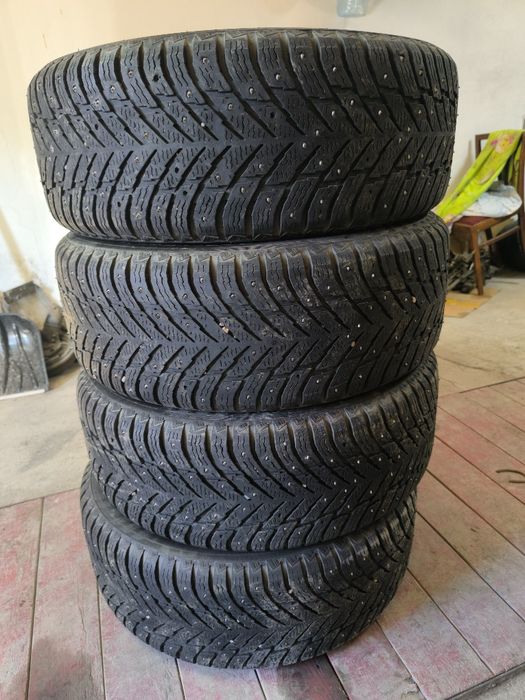 Nokian Hakapelita 10