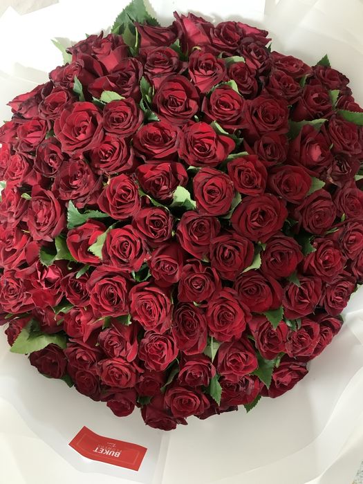 Продам, 101 красную розу