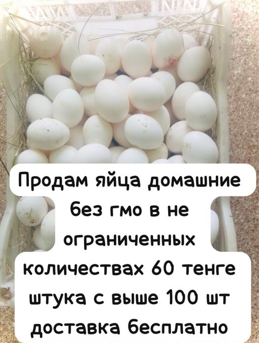 Прдам яйца домашние без ГМО