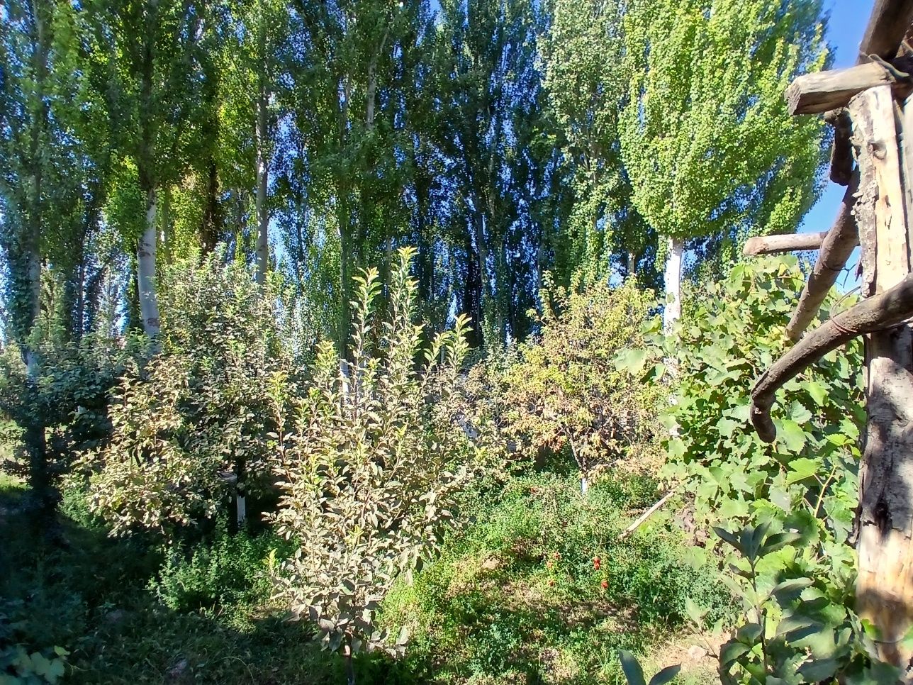 Yer sotiladi ,  suvni boyida