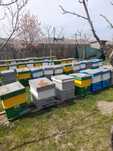 Vand stupi multietajati 10-20 rame
