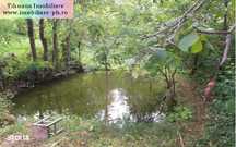 Teren de vanzare - Baicoi(Central) (intre case,gaze,curent,canalizare)
