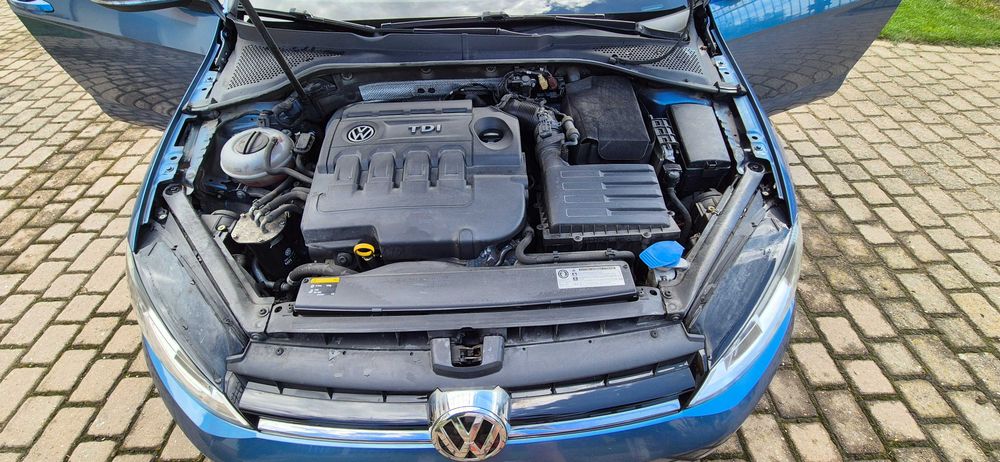 Volkswagen Golf 1.6 TDI DSG Highline