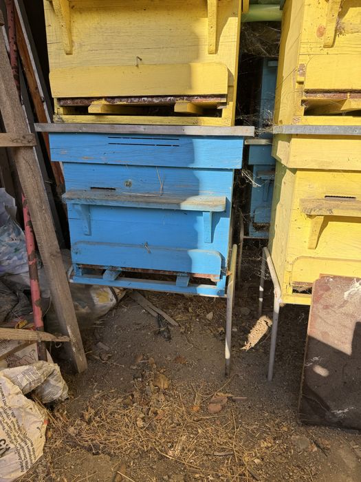 Кошери за пчели ЗДРАВИ