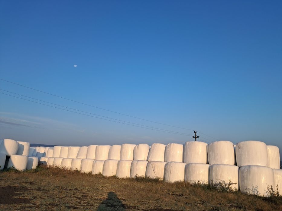 Vand baloti de fan si borceag