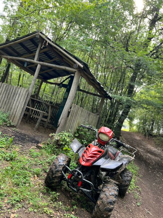 Bashan 250cc pe cardan