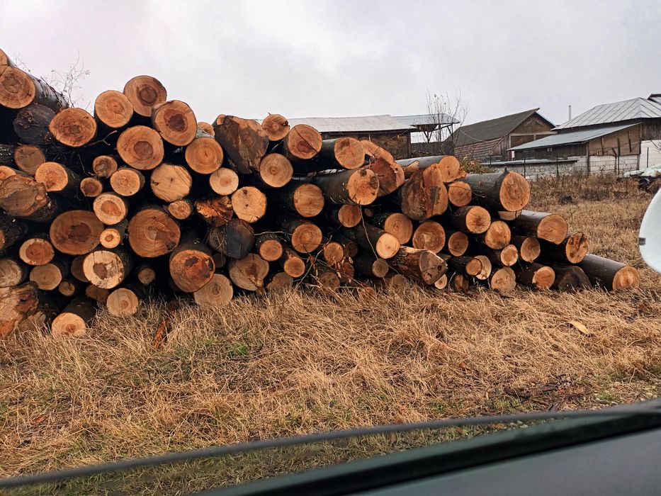 Vând lemne de foc uscate