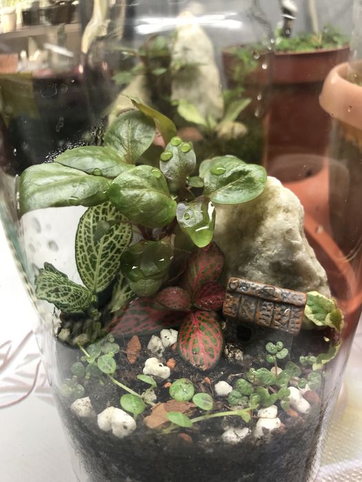 Продам флорик закрытый!