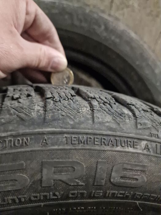 Гуми 205/55/16 Nokian WR-D4