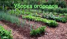 Уборка  подьездов и предворовых территорий
