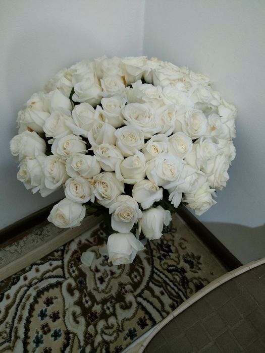 Роза белый 50шт бу