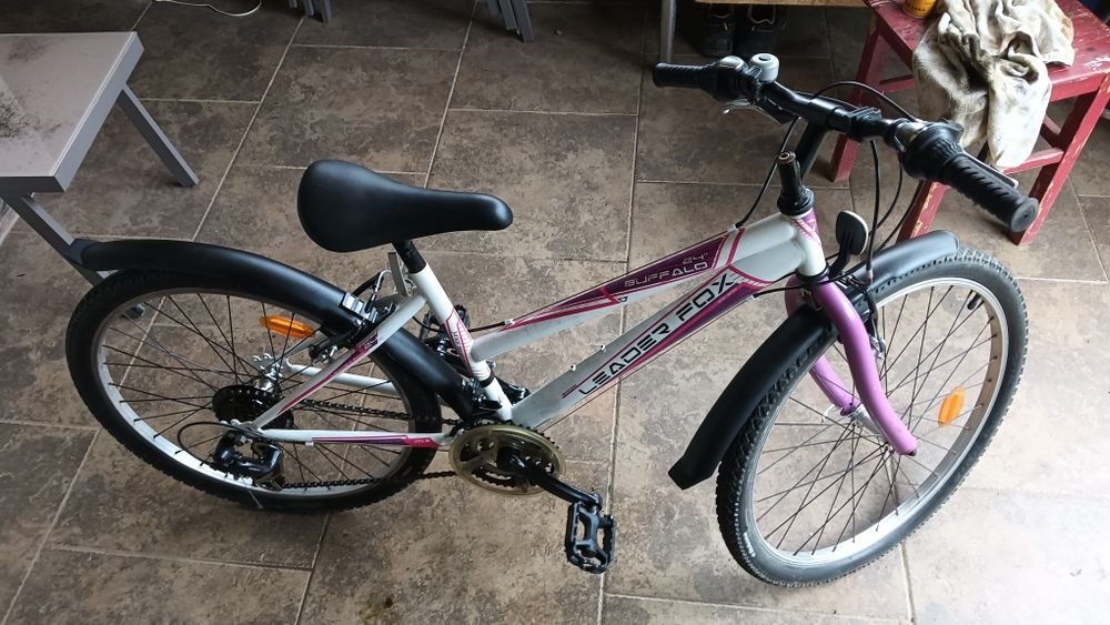 Biciclete aduse din Germania