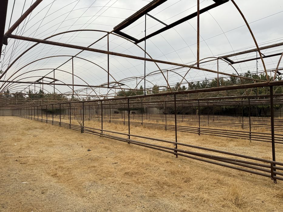 Теплица сотилади. Газ.