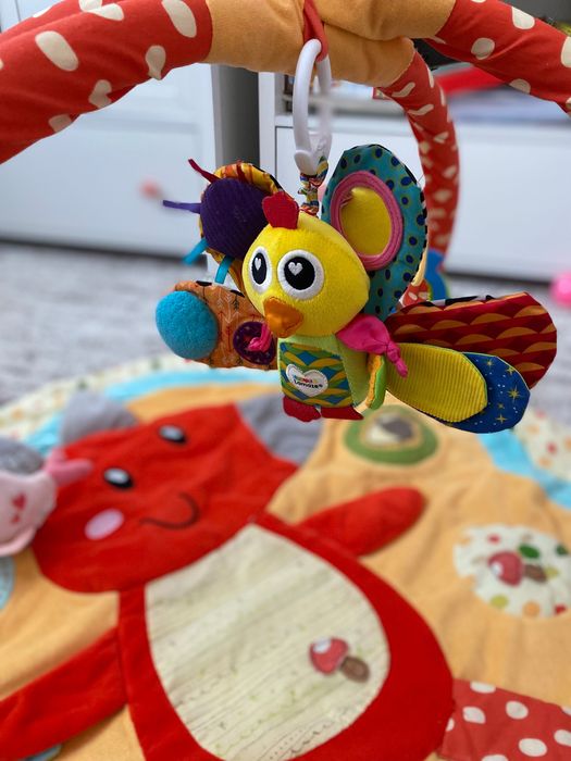 Salteluta activitati