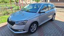Skoda fabia 2019 GPL