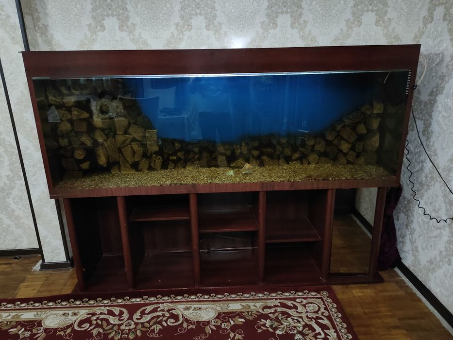 Аквариум сотилади, 500 литр. Тумбаси билан.