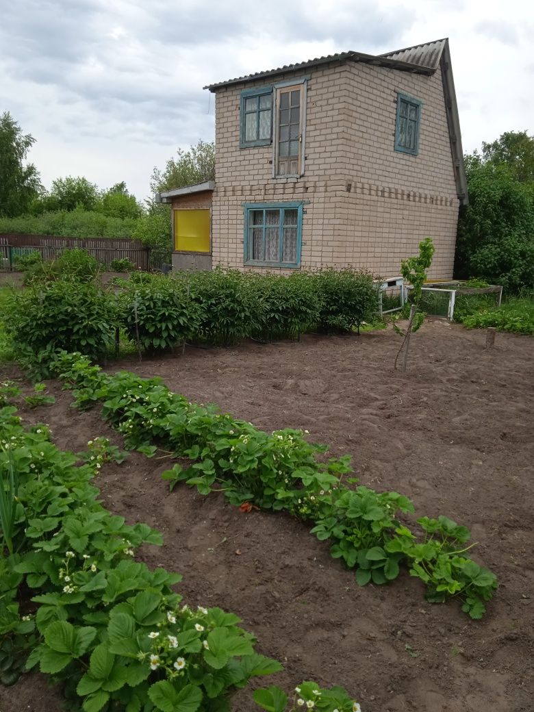 Продам дачу с/о Горизонт