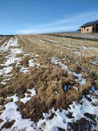 Teren intravilan,7200mp Bunesti Suceava