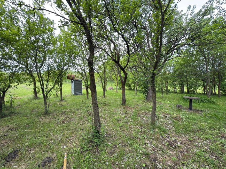 Vand teren intravilan cu casa, anexe gospodaresti si gradina in Aiton