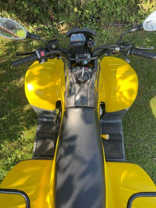 Vand atv Dinli 110 cm