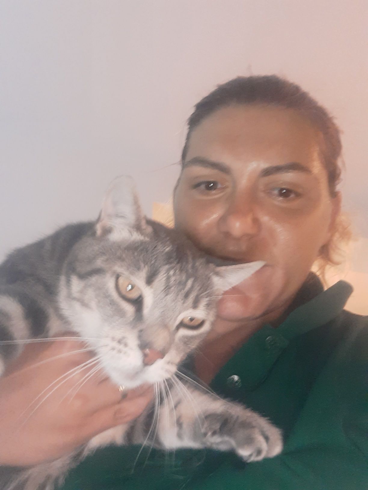 Cat Sitting Bucuresti