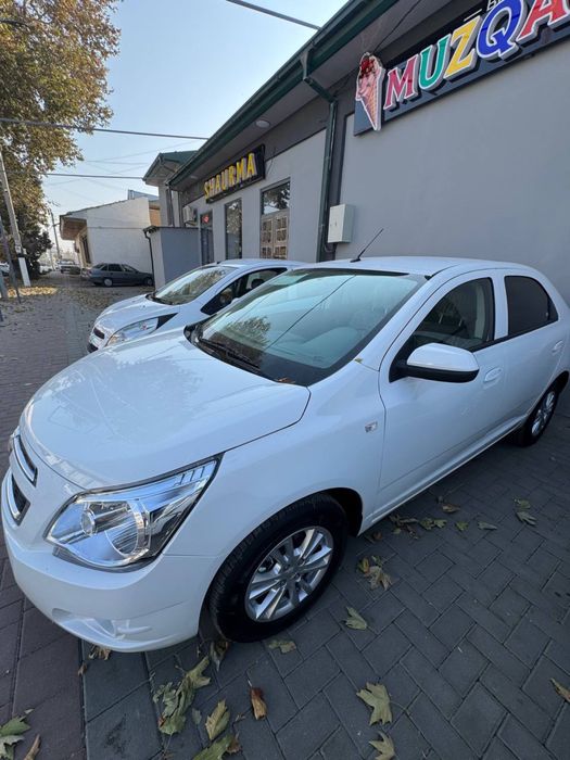 Cobalt 2025/2026 stayl tayor