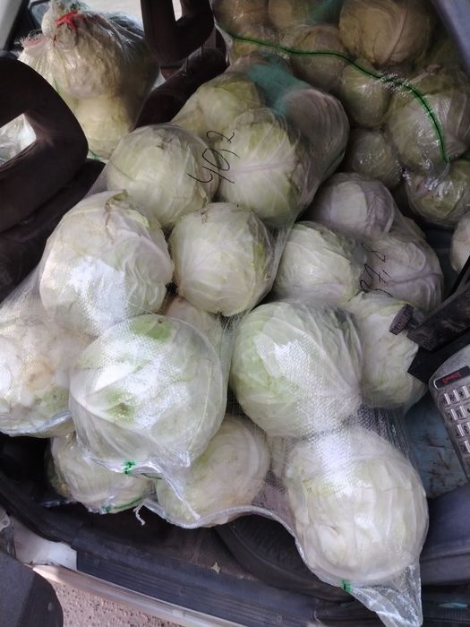 Капуста белокачан по 120 тенге