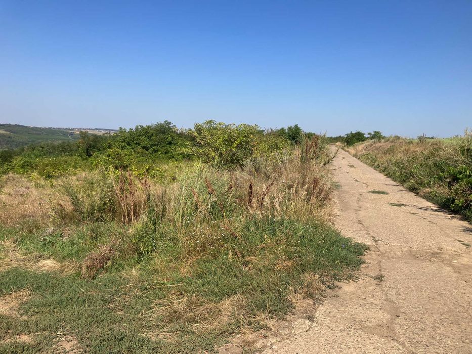 Teren extravilan Sorogari (Iasi)