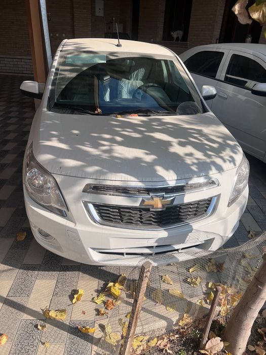 Cobalt pachka 2026 yangisi