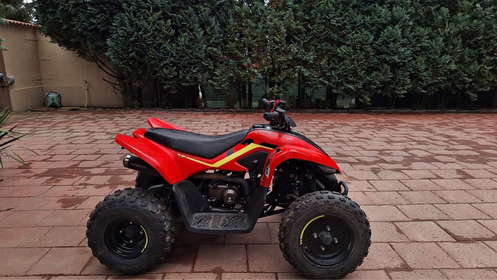Cf moto cforce 110 -atv copii