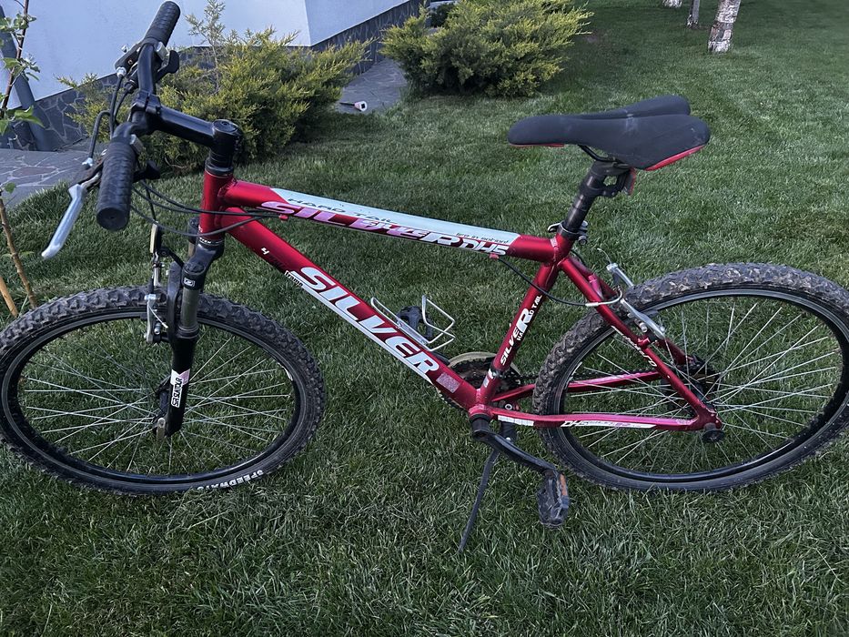 Bicicleta rosie dhs