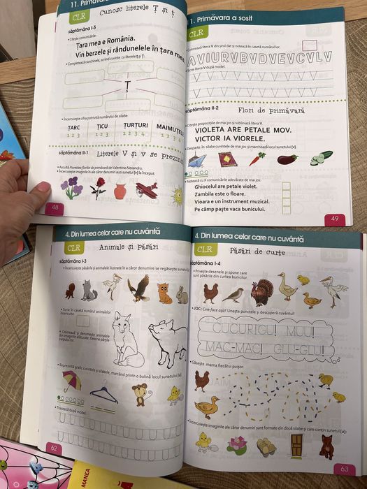 Lot carti clasa pregatitoare NOU