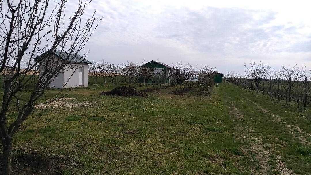 Vand corp de loturi in Agigea cu acces la DN 38