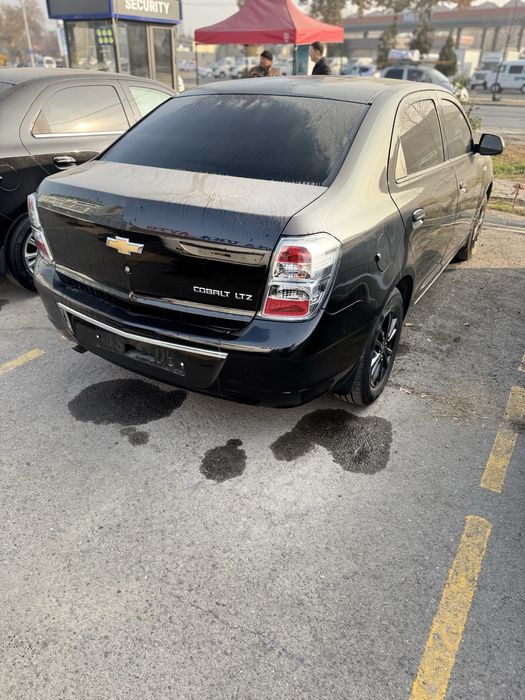 Cobolt midnight qora krasska tozza